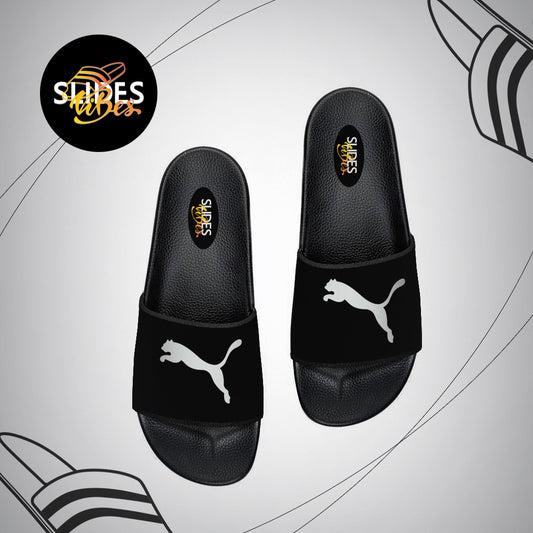 Pum A Printed Slides