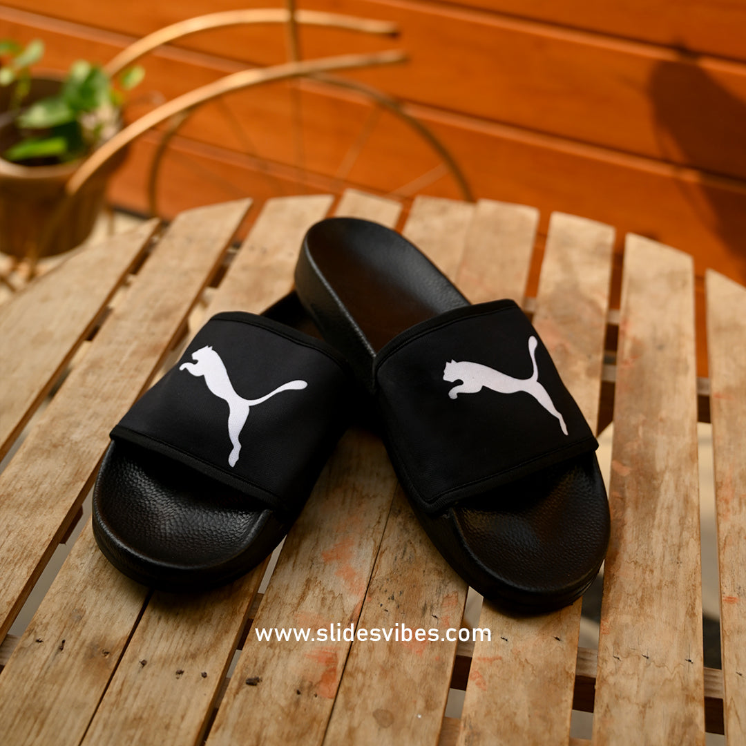 Pum A Printed Slides