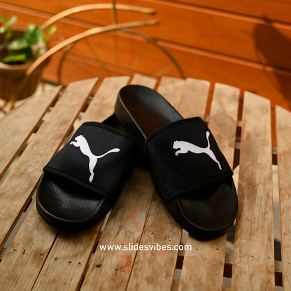 Pum A Printed Slides